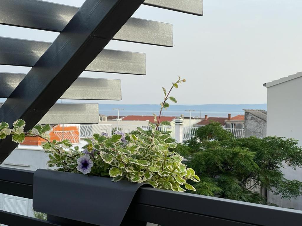 Villa Jadranka Apartments Tucepi Ngoại thất bức ảnh